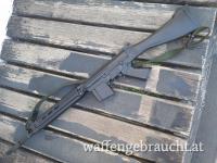 DS ARMS SA 58