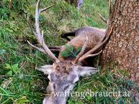 Hirschabschuss Kl. 3 in OÖ
