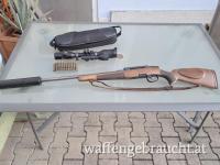 243 Win Steyr