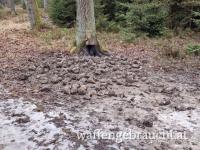 Teilnahme zu einer Riegeljagd