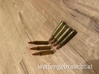 .223 Munition