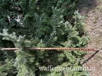 Pirschstöcke aus Schwarzerle mit Edelstahlspitze