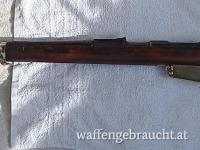 Mauser Argentino 1891