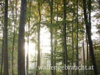 🌿 Geführtes Ausgehrecht für Jungjäger/ -innen in der Jagdsaison 2027 🌿