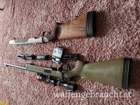 Steyr SSG69 308 grün 