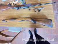Steyr Schaft Model M Links
