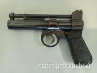 The Webley "Junior" 177