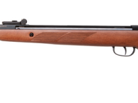Diana two-fifty 22J Lochschaft Holz 4,5mm
