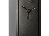 Browning Safe Defender 10 Guns