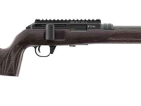 Hämmerli Arms Force B1 22LR Holzschaft