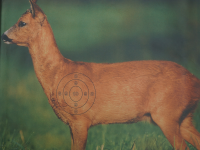 Jagdprüfung Scheibe REHBOCK.86x122+Sp10STk.