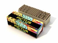 Batterie Pictus Verbund